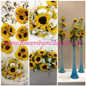 fwthumbipad aug 13 488.jpg